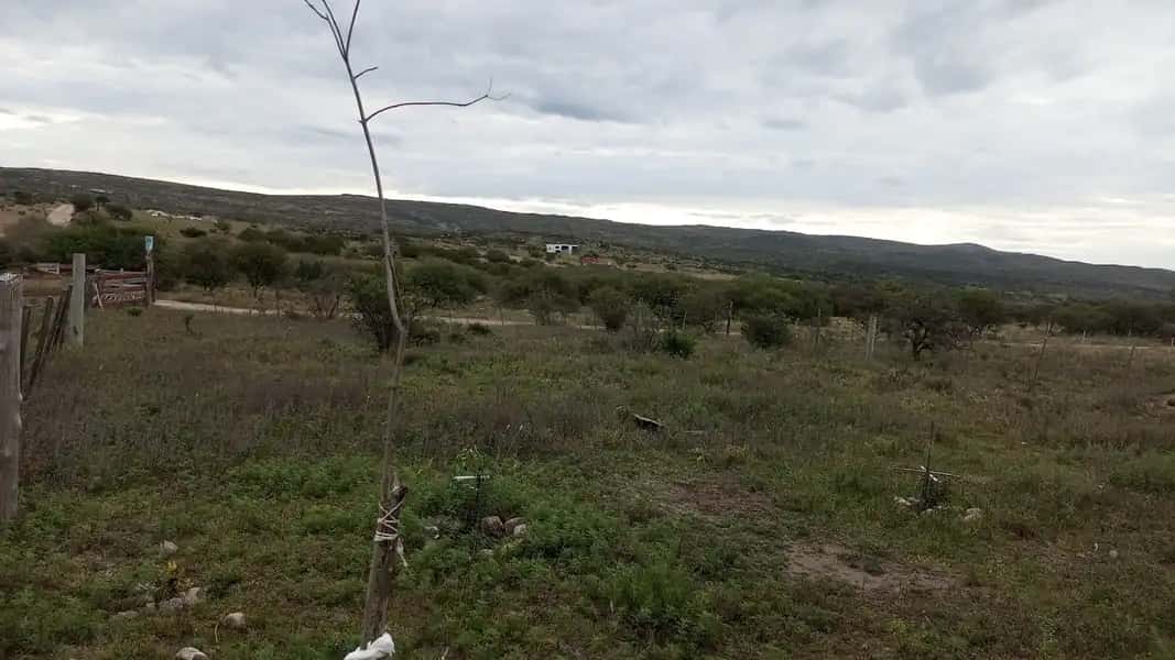 Hermoso Terreno V.San Ignacio Lote20 Mza51 500Mts2