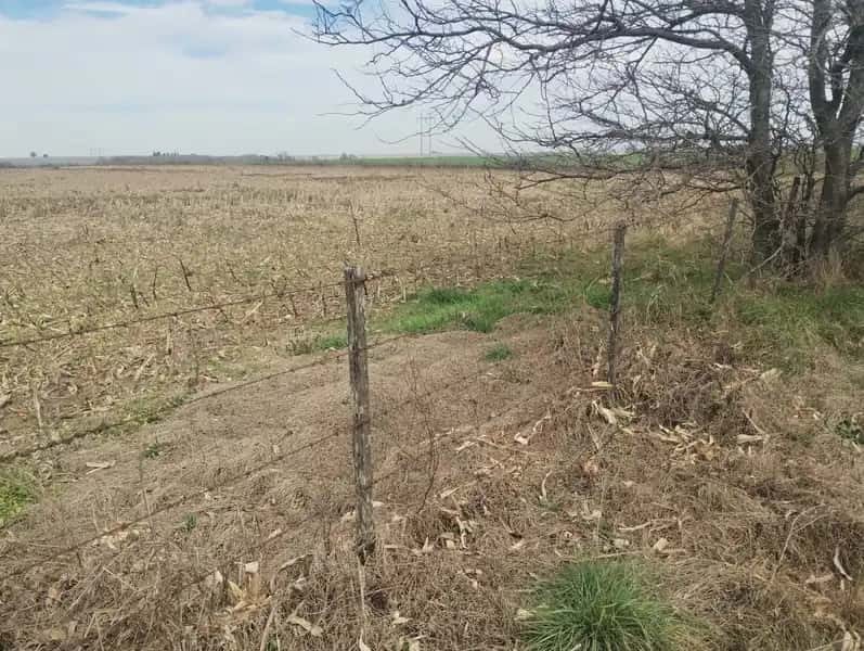 50% nuda CAMPO ALCIRA GIGENA