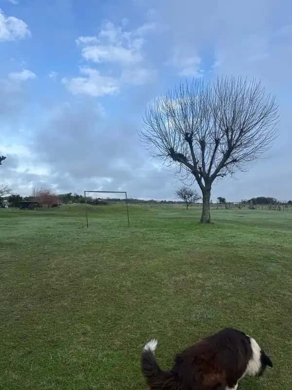CAMPO 18HA Y CASA EN MISMO TERRENO