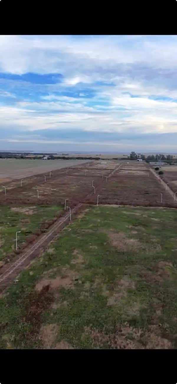 10,5 HECTAREAS EN TOLEDO