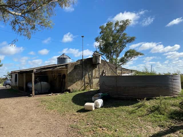100 %  Fracción de campo en Rauch (106 has). Ocupado
