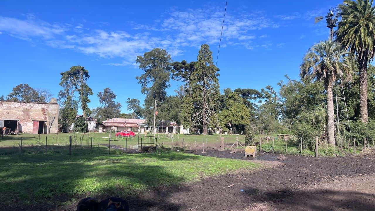 EN DOLARES - ESTABLEC. AGROPECUARIO MIXTO 451 HA - MAR CHIQUITA -APTITUD AGRIC-GANAD - PCIA BSAS