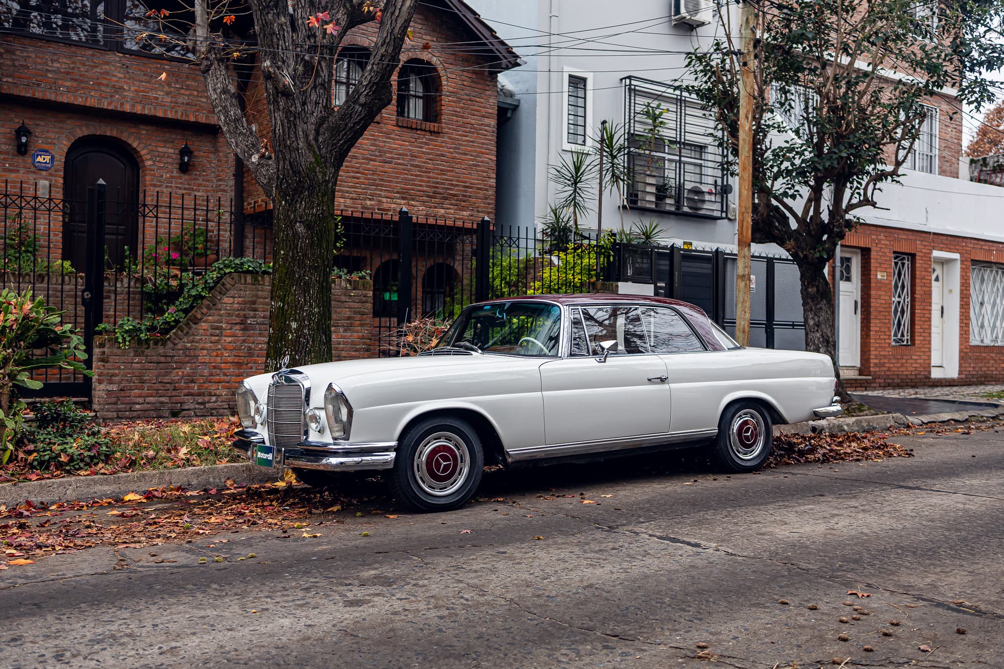 Sin Reserva: 1966 Mercedes-Benz 250SE Coupé