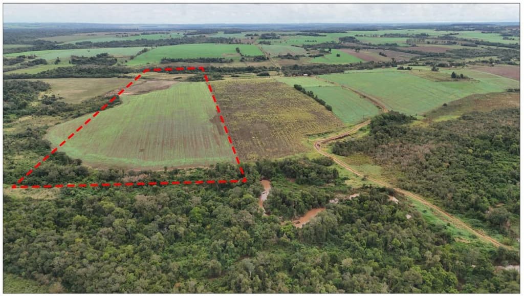 CAMPO (DESOCUPADO) - ITAPUA / SAN PEDRO DEL PARANA - Sup: 9HAS. 7031m2