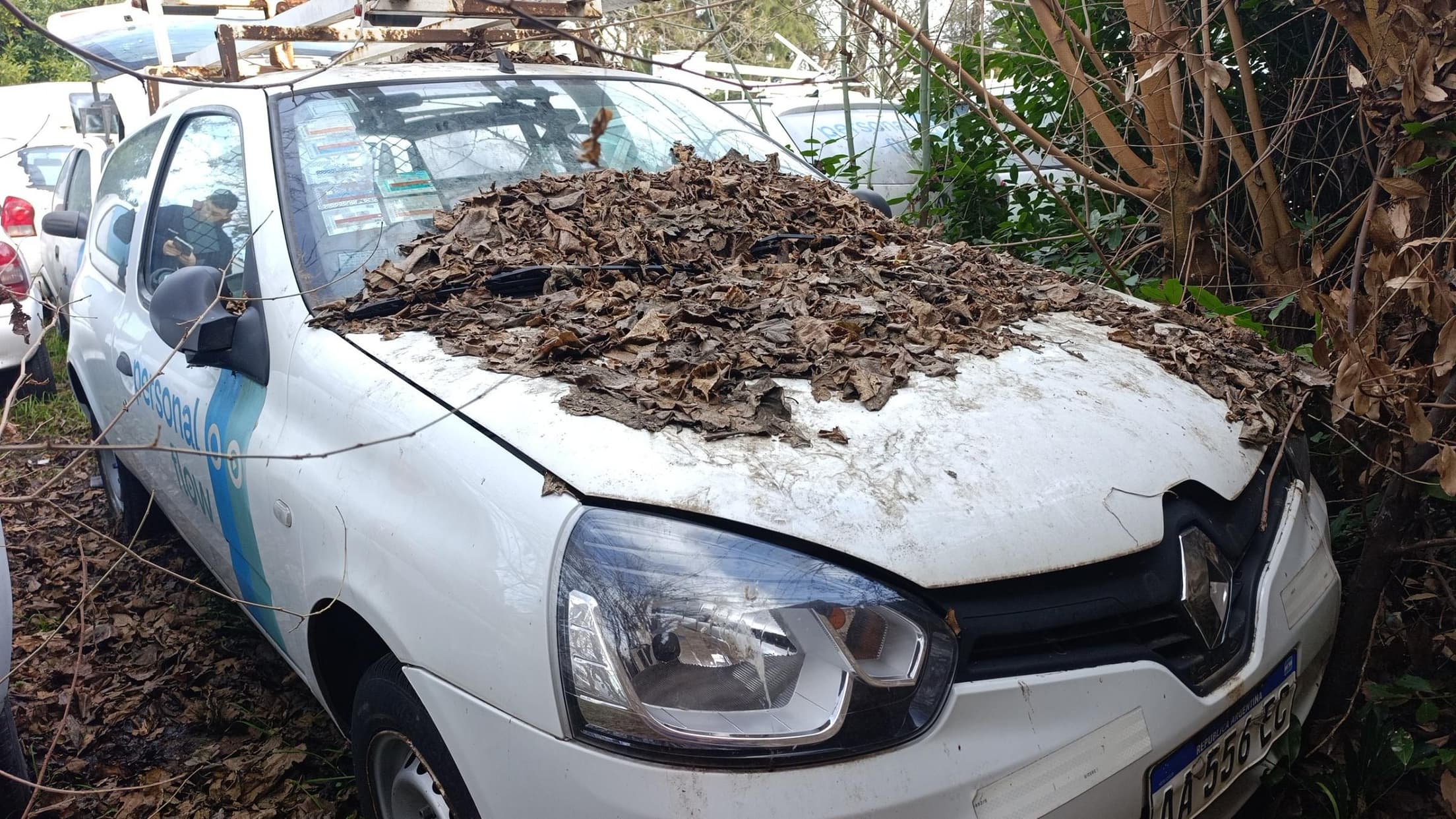RENAULT FURGON  CLIO WORK, Año 2016. DOM: AA556EC. Ubicación: Lujan, provincia de Buenos Aires