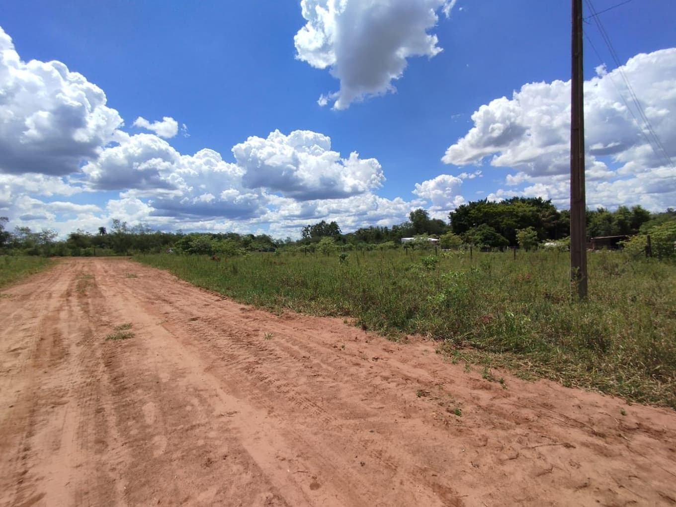 TERRENO DESOCUPADO - CAAGUAZU / TORO BLANCO - Sup: 400 m2