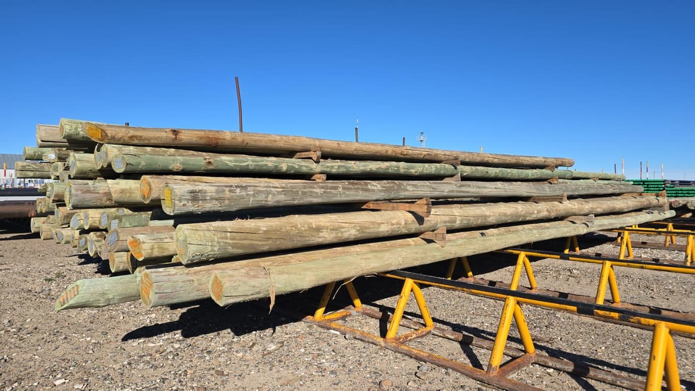 POSTES DE EUCALIPTO, Cantidad: 393 unidades, Condición: rezago. LOC: Cerro Dragon, provincia de Chubut