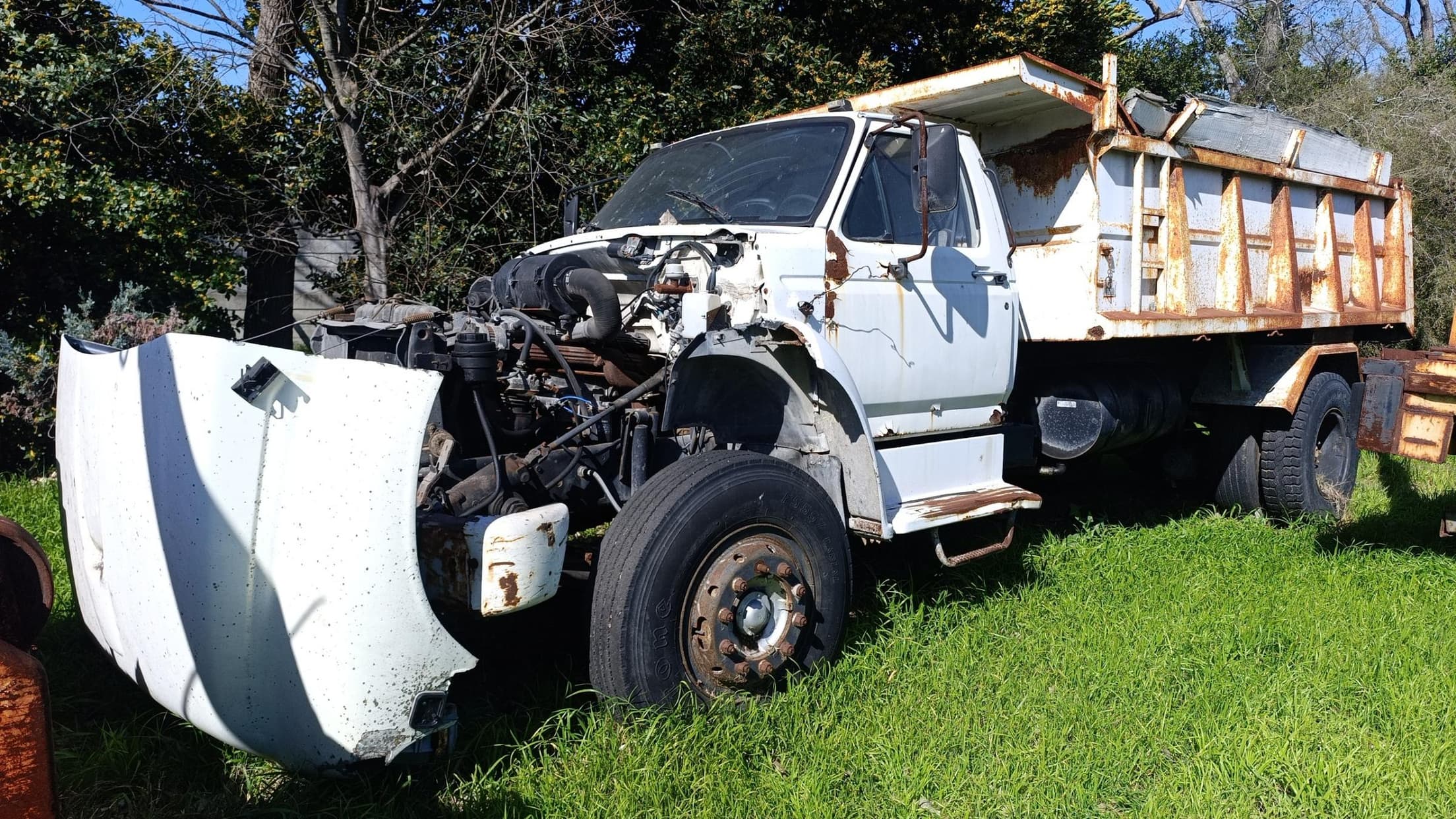 FORD CHASIS C/CABINA F-14.000, Año 1998. DOM: BXV406. Ubicación: LLAVALLOL, provincia de Buenos Aires
