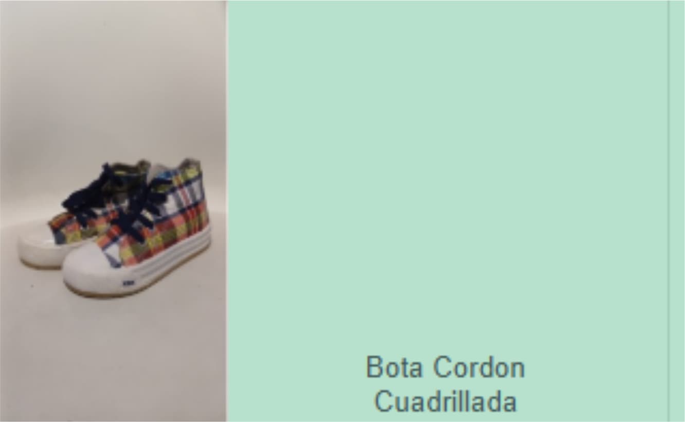 Lt. 213 Calzado