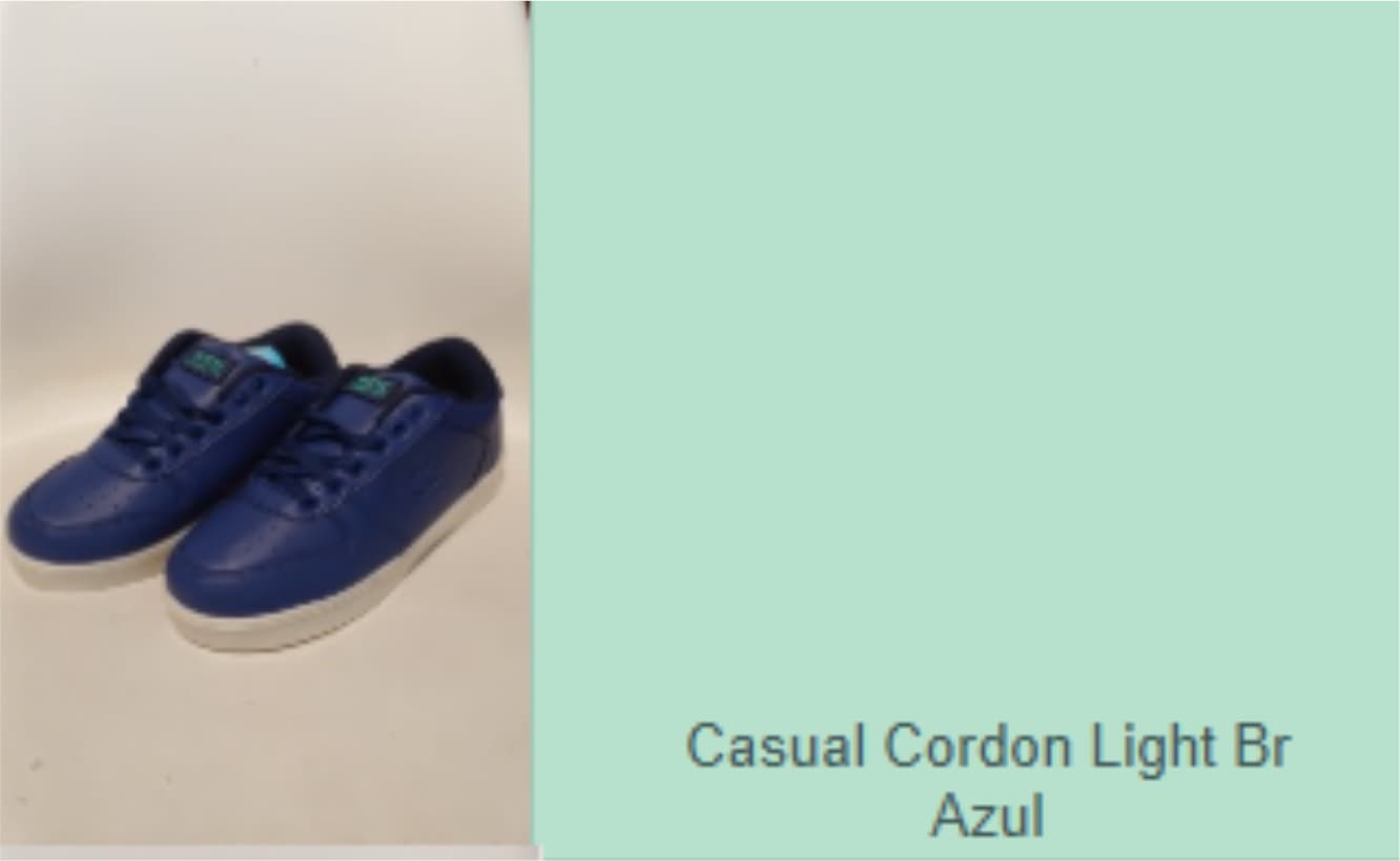 Lt. 217 Calzado