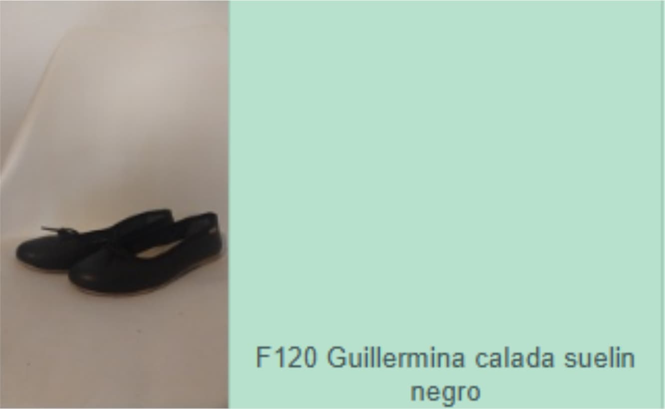 Lt. 193 Calzado