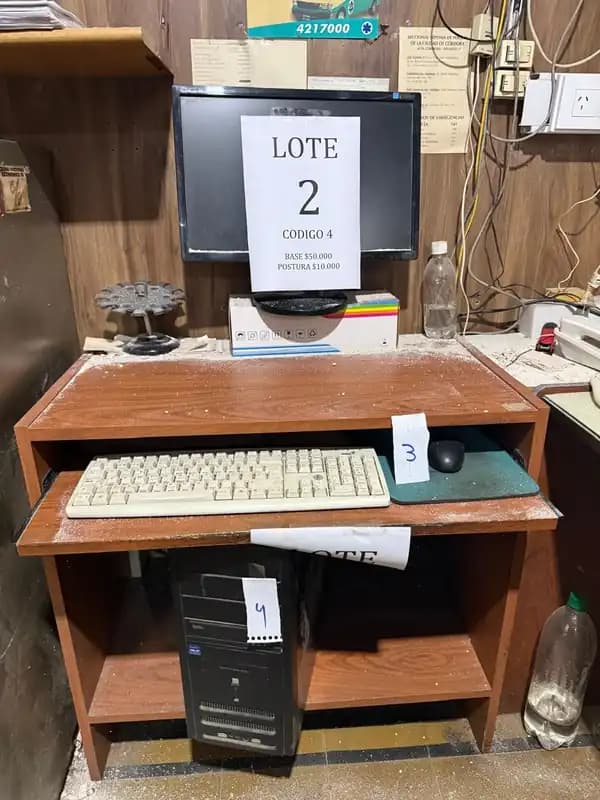 Lote 2 : 2 CPU completos y 1 impresora.