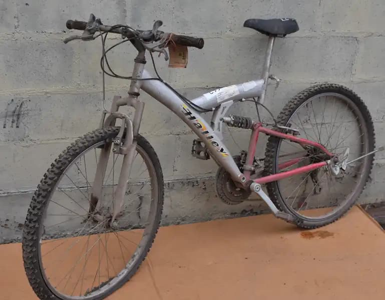 L24 BICICLETA MARCA HALLEY