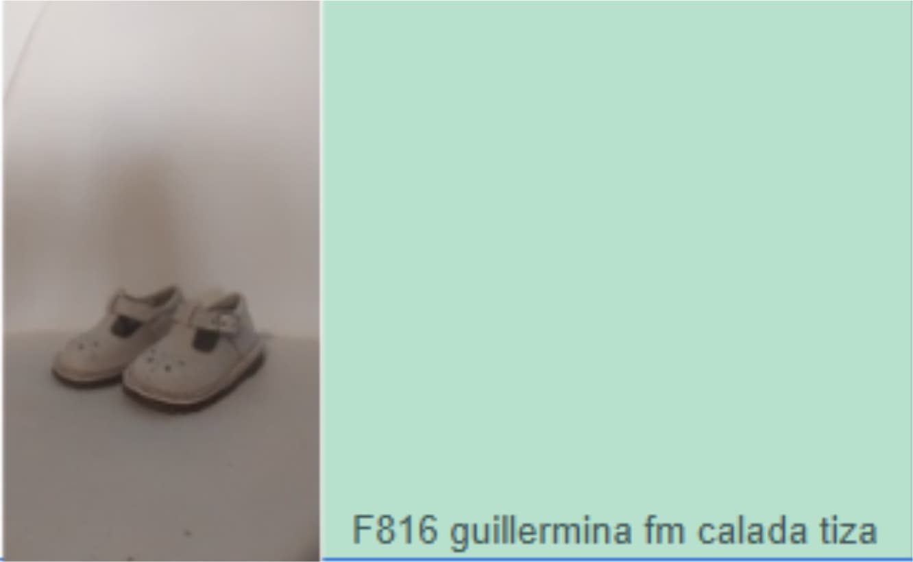Lt. 198 Calzado