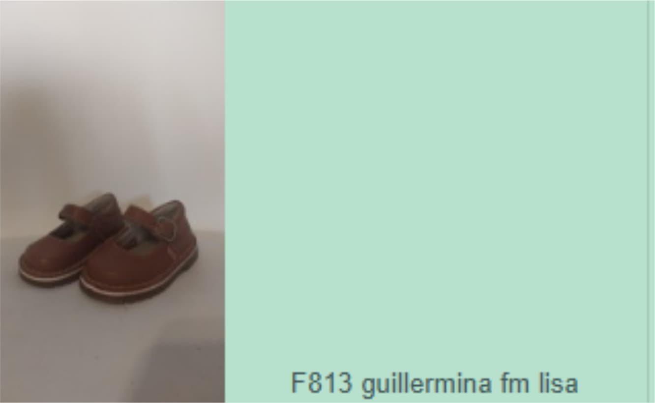 Lt. 199 Calzado