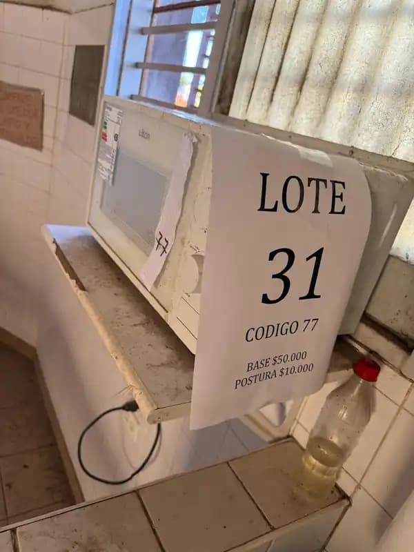 Lote 31: 1 microondas Likon, 1 calefon electrico.