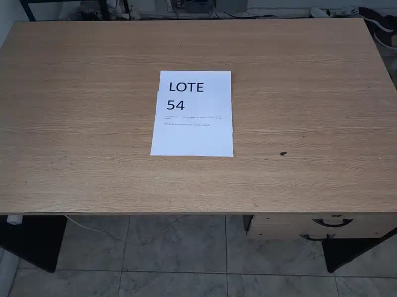 LOTE 54 - ESCRITORIO