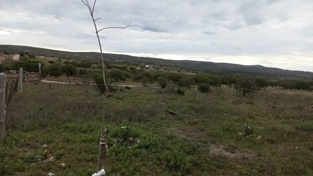 Hermoso Terreno V.San Ignacio Lote20 Mza51 500Mts2