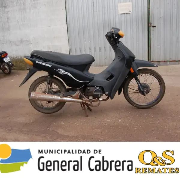 GUERRERO G 110 TRIP
