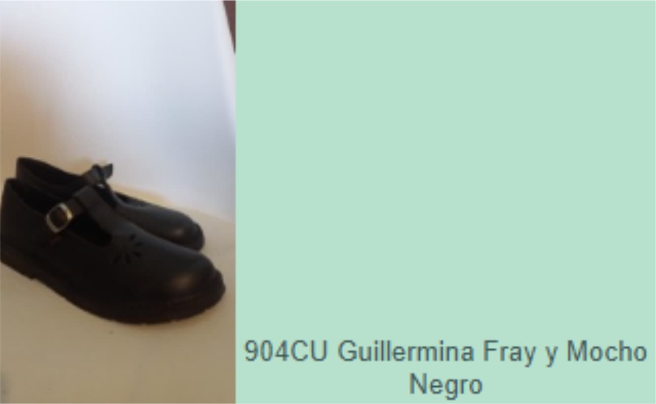 Lt. 206 Calzado