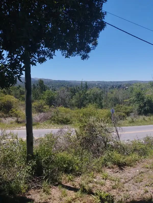 lote ICHO CRUZ 1062 MS2