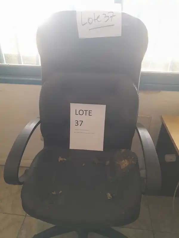 LOTE 37 - SILLON TIPO PRESIDENTE