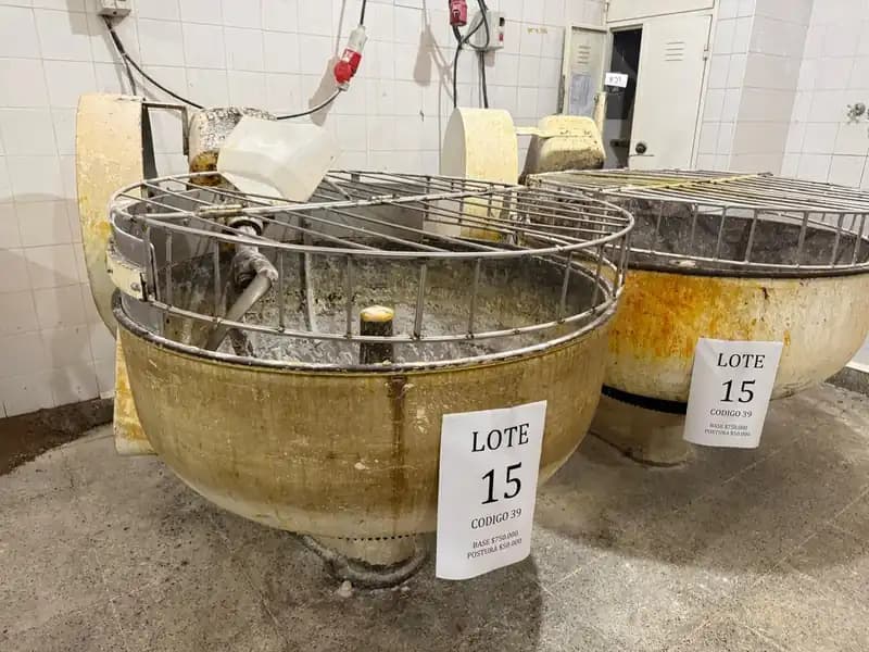 Lote 15 : 2 amasadoras Borghi P/150kg