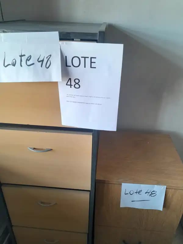 LOTE 48 - DOS ARCHIVEROS