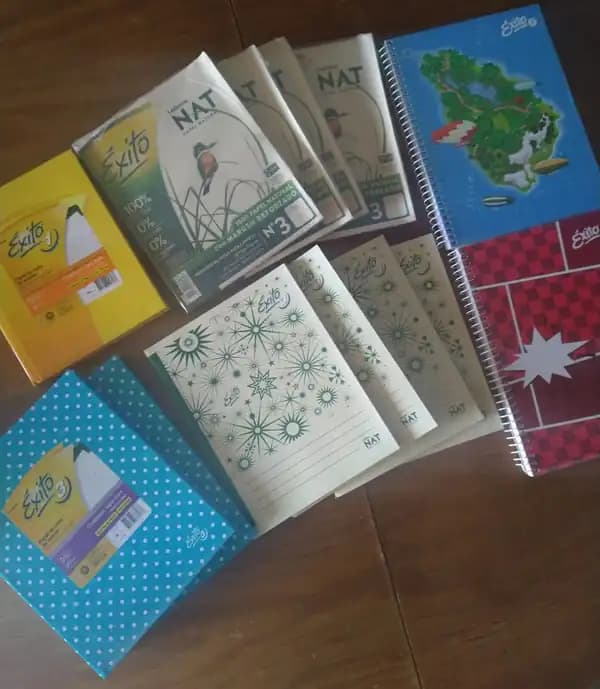 Lote de cuadernos