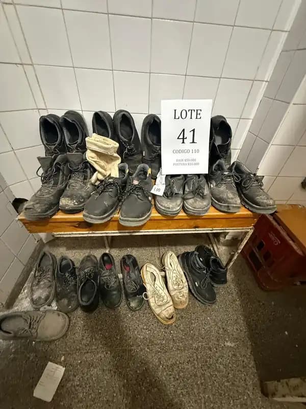 Lote 41: 4 carros, 2 escaleras y varios