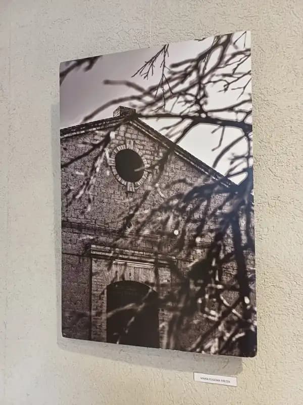 FOTOGRAFIAS; MIRADA AL PASADO, SERIE BODEGAS
