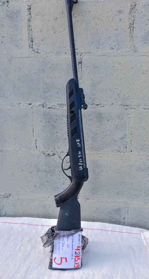 L31 RIFLE AIRE COMPRIMIDO