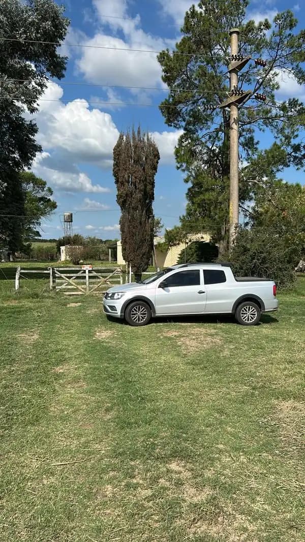Campo
