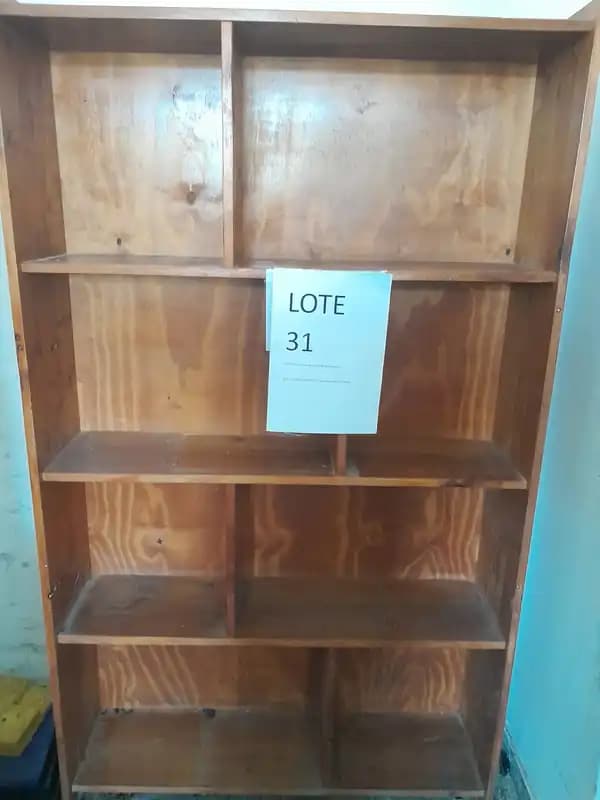 LOTE 31 - UNA BIBLIOTECA
