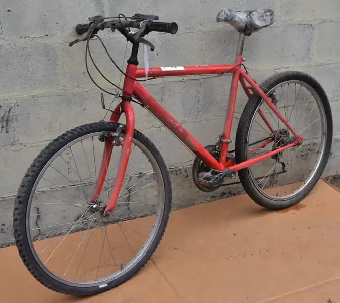 L26 BICICLETA R26