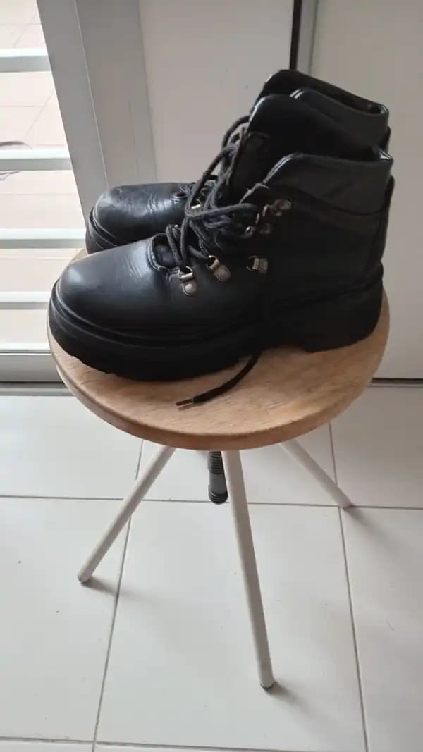BORCEGOS