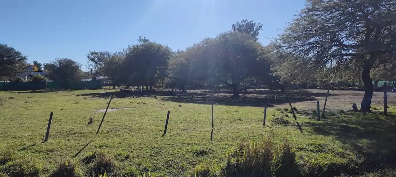 Terreno baldío en Alicia (cba)
