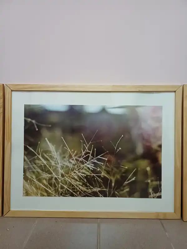 ARTE DE FOTOGRAFÍAS " TRANSFORMACION"