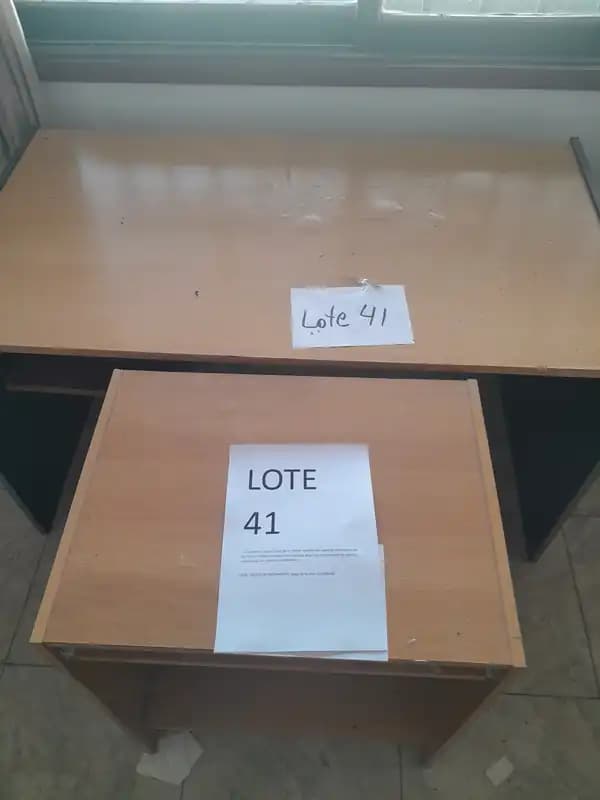 LOTE 41 - DOS ESCRITORIOS