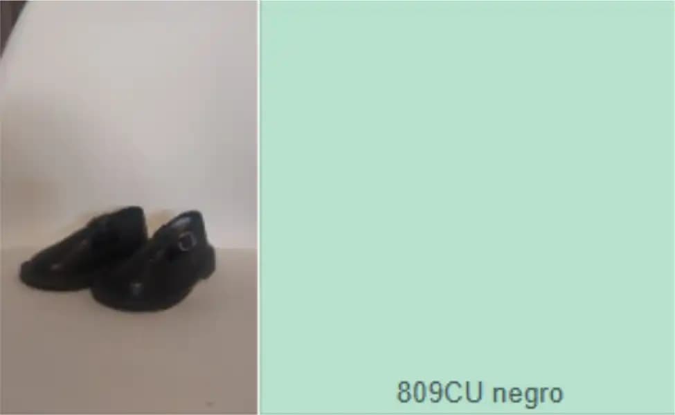 Lote N° 10