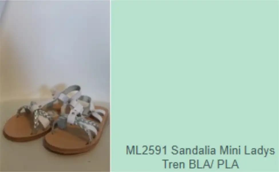 Lote N° 11