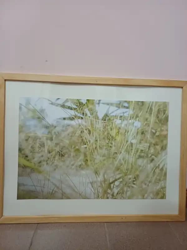 FOTOGRAFIAS- "PRESENCIA"