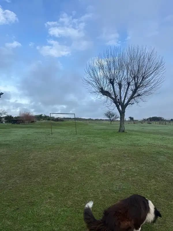 CAMPO 18HA Y CASA EN MISMO TERRENO