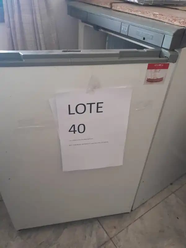 LOTE 40 - HELADERA TIPO FRIGOBAR