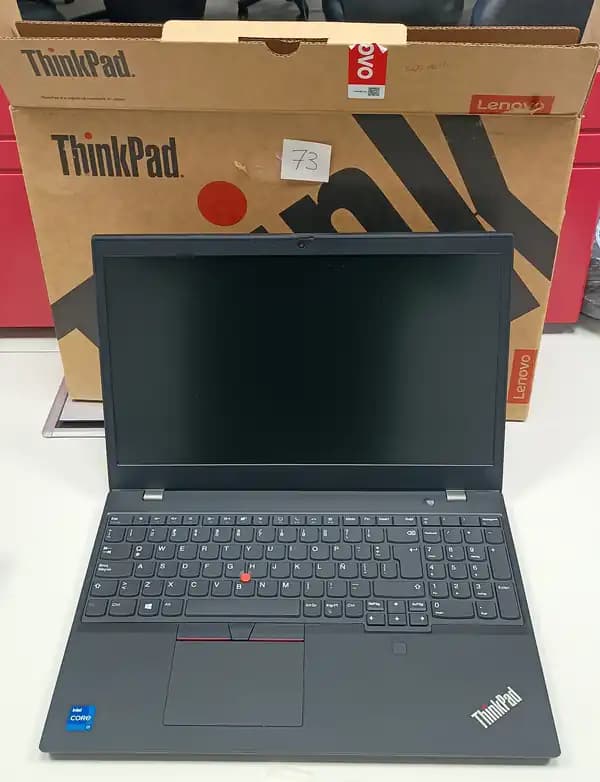 Notebook Lenovo Thinkpad L15 I7 11va 32gb Ssd 480g