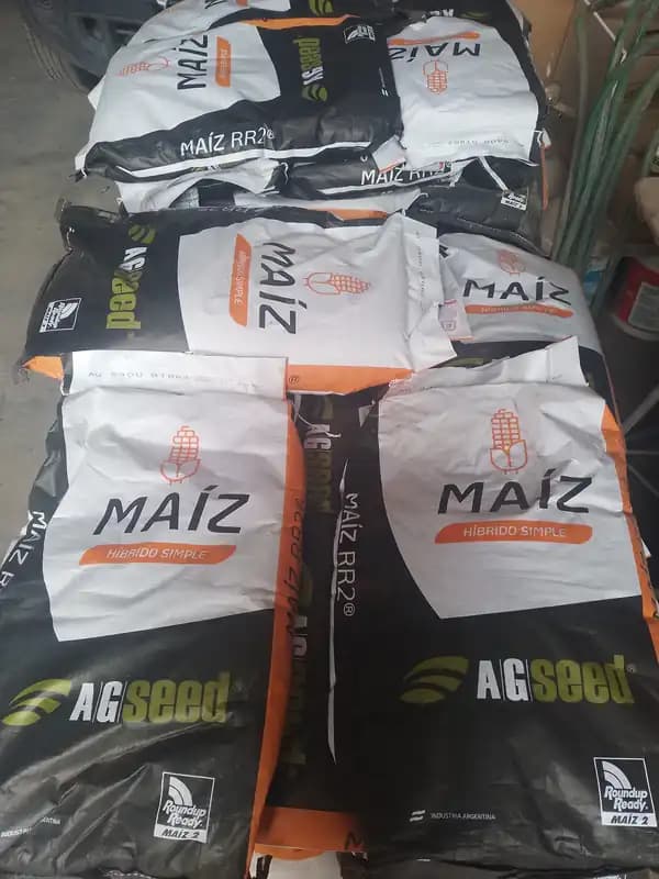 150 BOLSAS/72000 SEMILLAS DE MAIZ C/U
