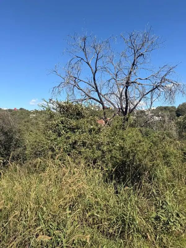 Lote baldío - Estancia Vieja - 922mts2