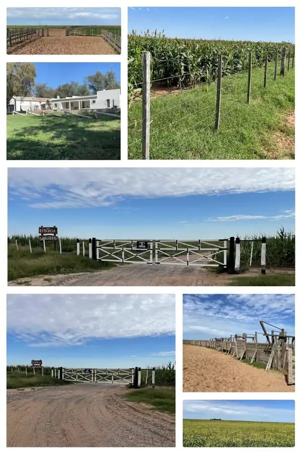INMUEBLE RURAL 1.250 HECTAREAS