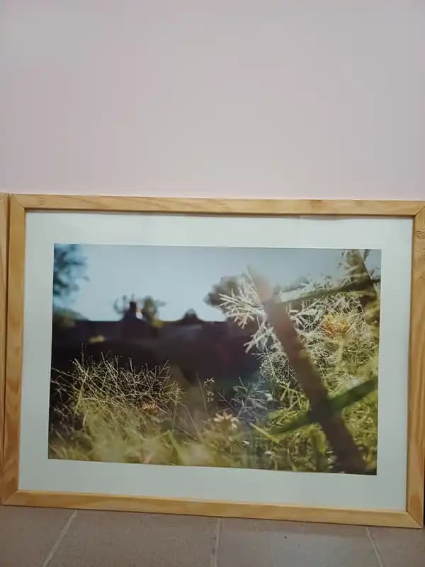 FOTOGRAFIAS- "ENCUENTRO"