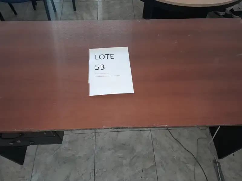 LOTE 53 - ESCRITORIO